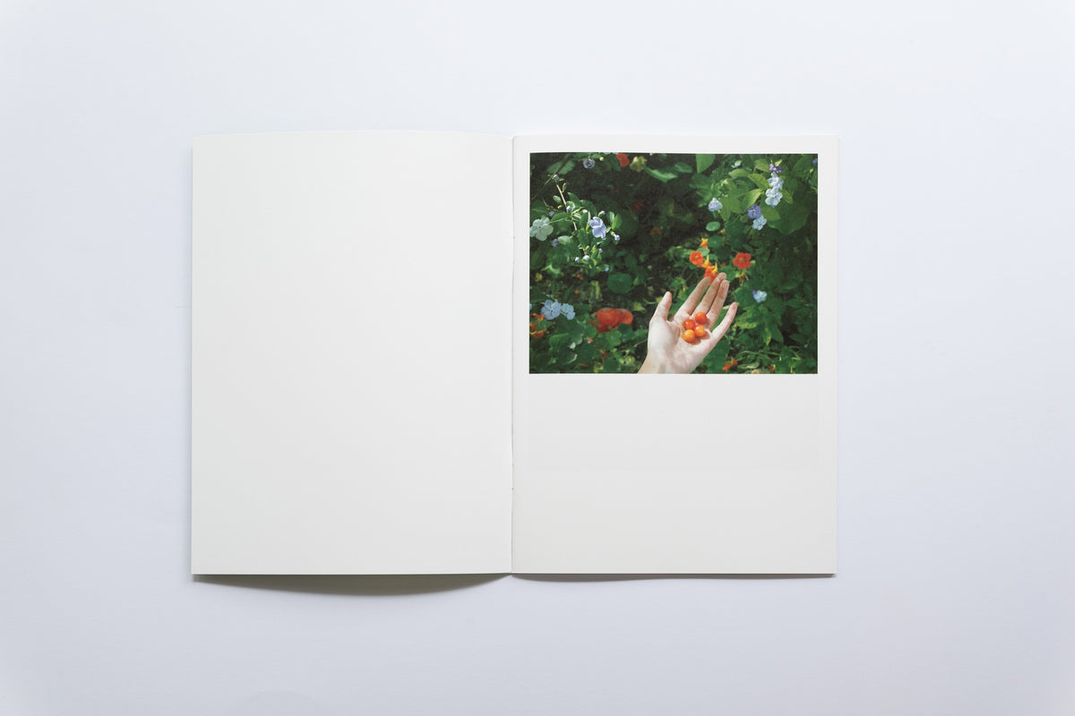 Spark Zine | Gardenia | Gu Liyu